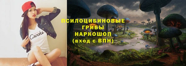 apvp Вязники
