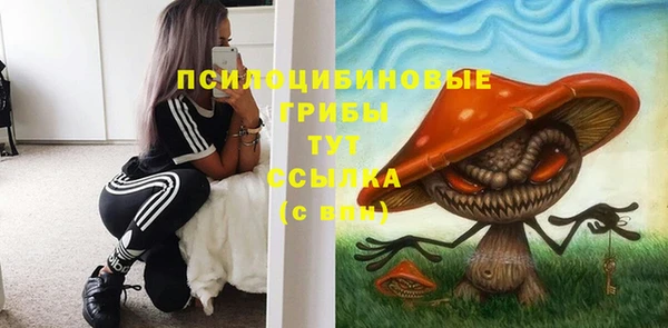 соль курить ск Вязьма